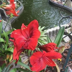 Meet your Posher, Pat